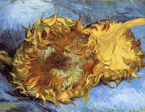 I fiori dipinti da Vincent van Gogh in un video