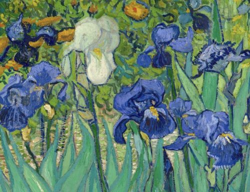 Le opere di Van Gogh prendono vita in questo straordinario video